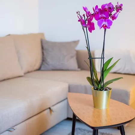 Apartman Bea Pozsony