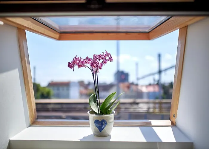 Bea * 브라티슬라바