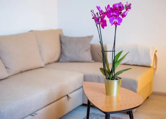 Apartmán Bea Bratislava